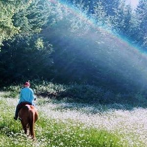 Meet your Posher, Suzanne